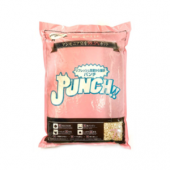 日本Punch